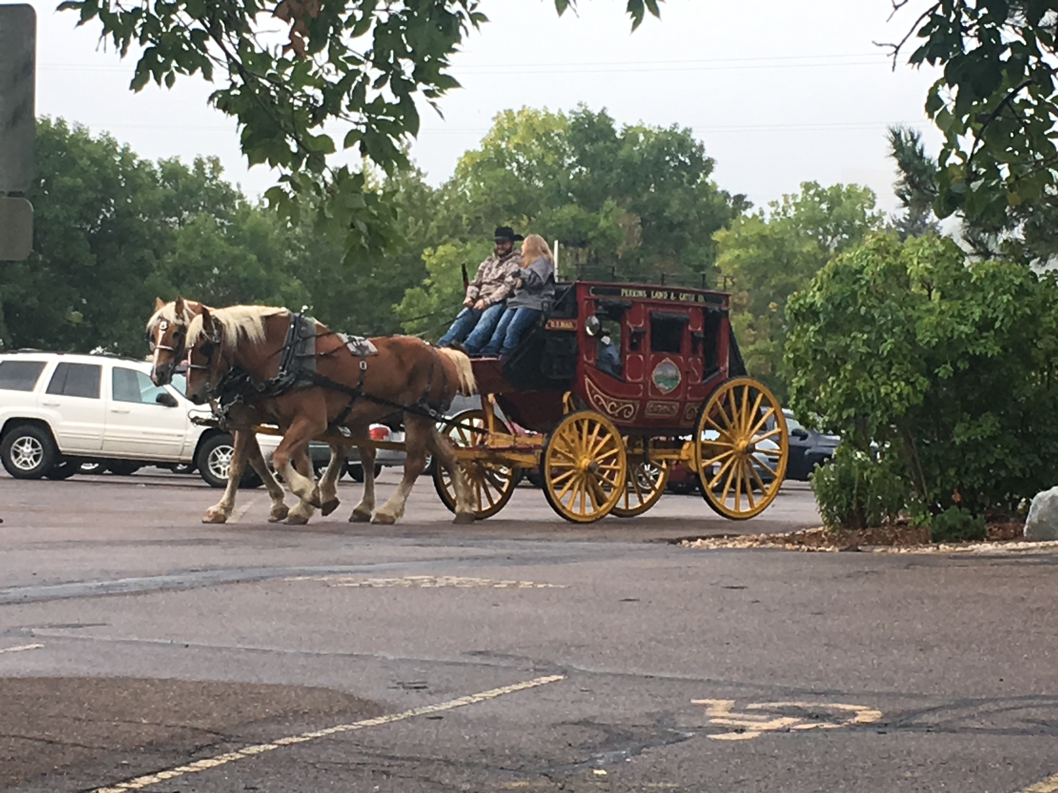 stage coach